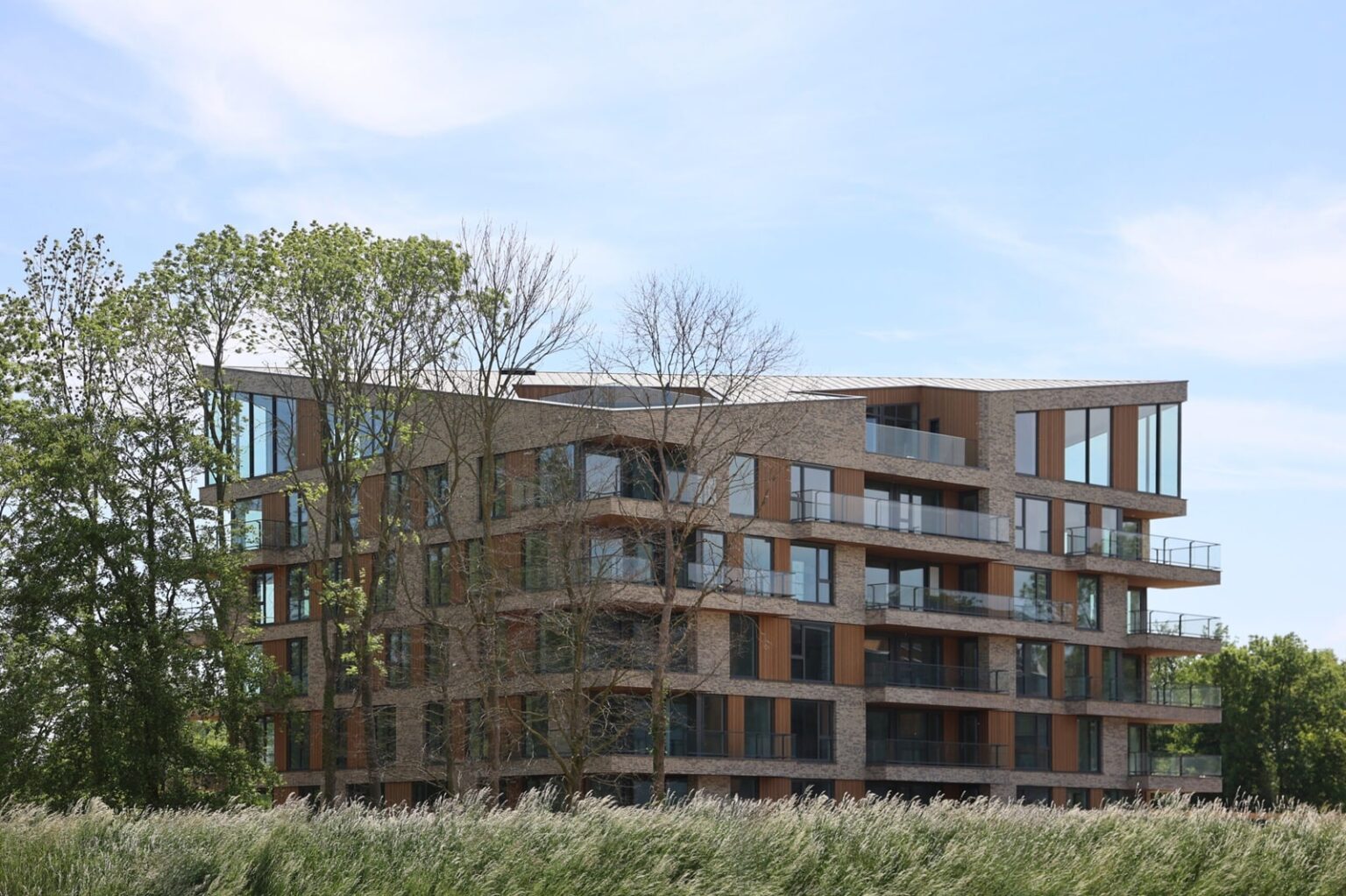 Wooncomplex met houten gevelbekleding